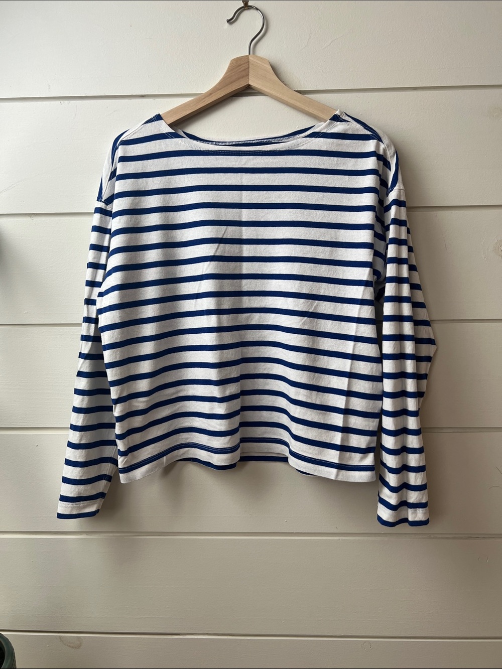 Everlane Blue and White Striped Long Sleeve Top